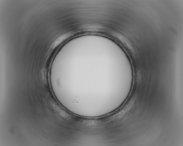 X0000111890970200908131651