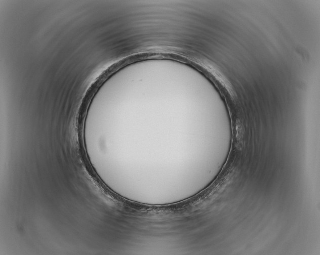 X0000111890972200908131651