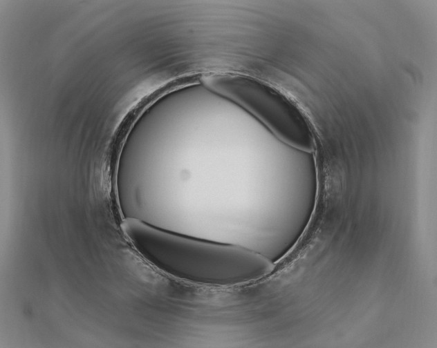 X0000111890973200908131651