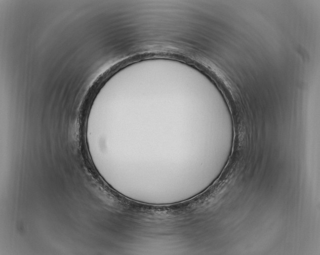 X0000111890975200908131651