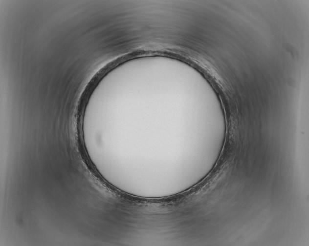 X0000111890976200908131651