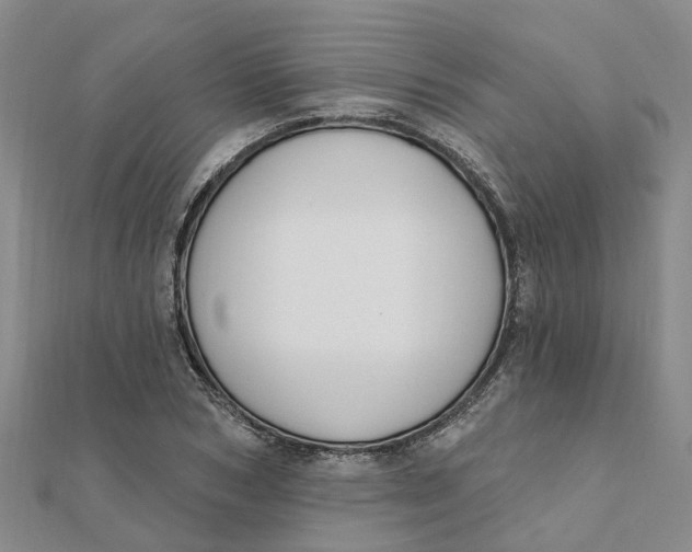 X0000111890978200908131651