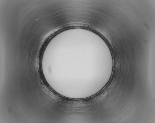 X0000111890979200908131651