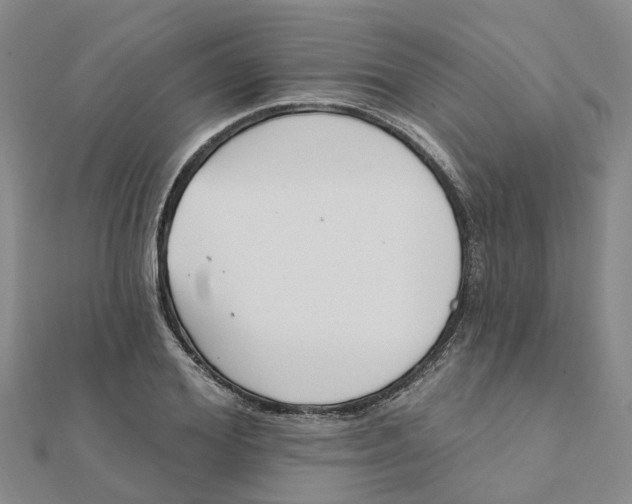 X0000111890980200908131651