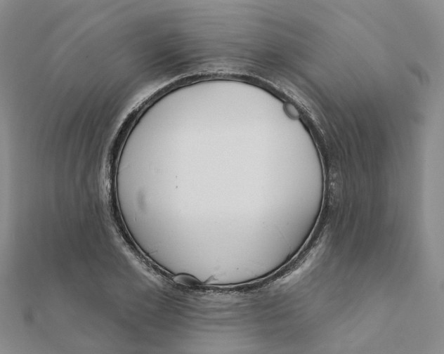 X0000111890981200908131651