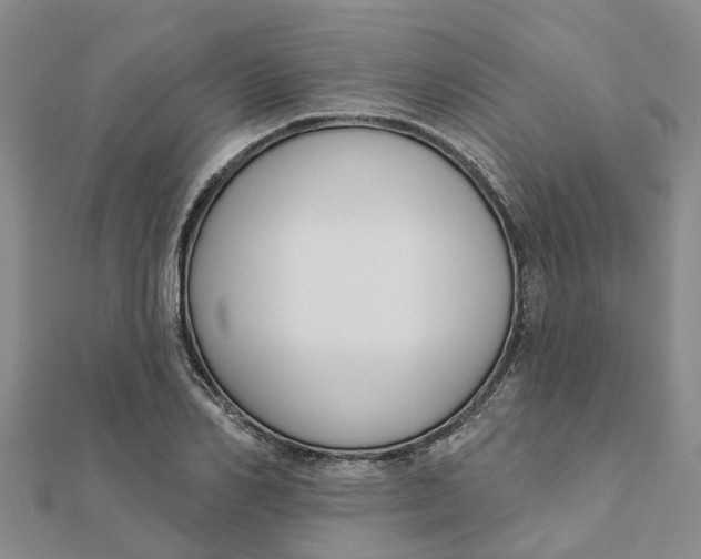 X0000111890982200908131651