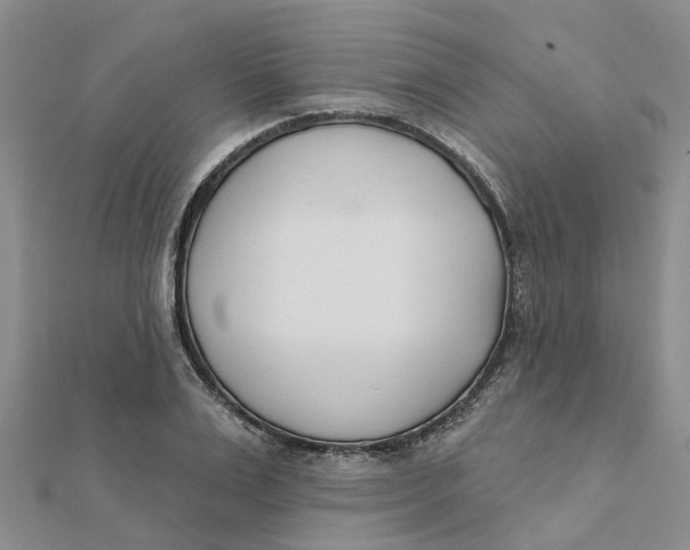 X0000111890983200908131651