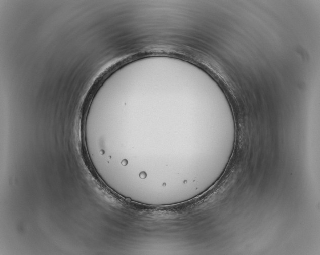 X0000111890984200908131651