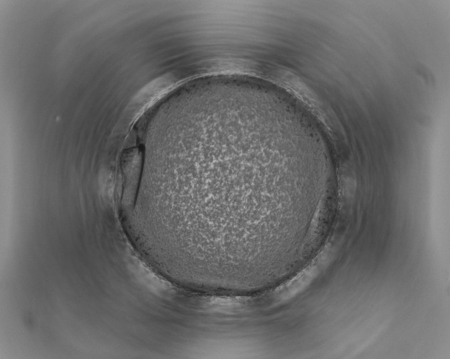 X0000111890985200908131651