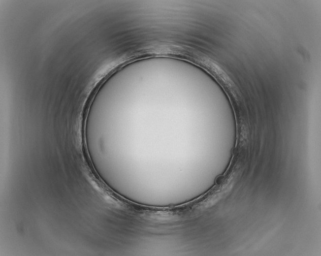 X0000111890986200908131651