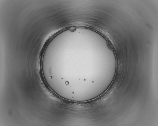 X0000111890987200908131651