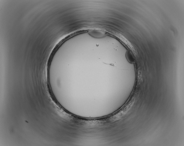 X0000111890988200908131651