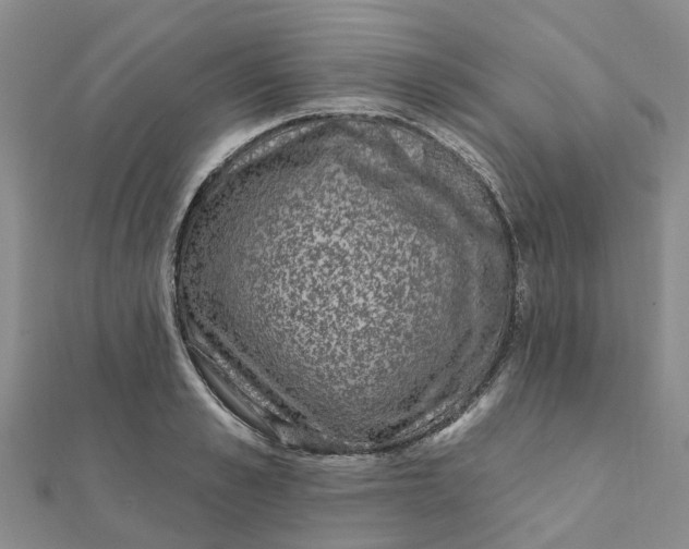 X0000111890989200908131651