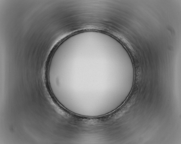 X0000111890991200908131651