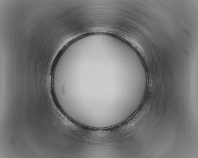 X0000111890992200908131651