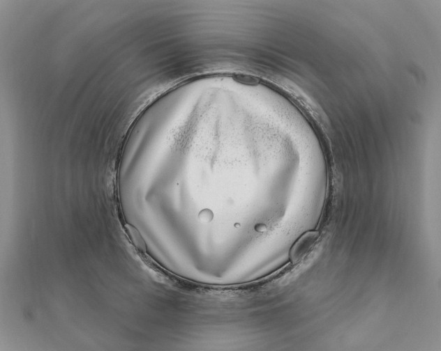 X0000111890993200908131651