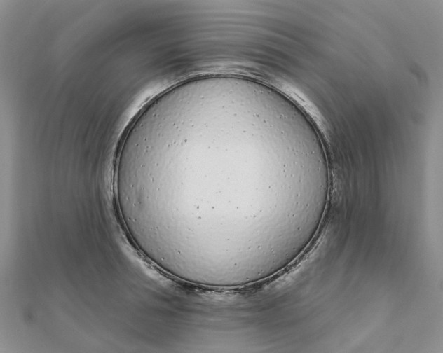 X0000111890994200908131651