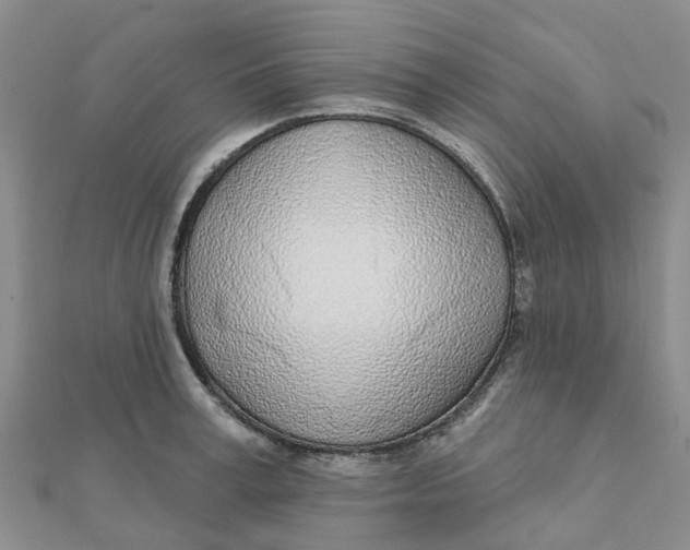 X0000111890995200908131651