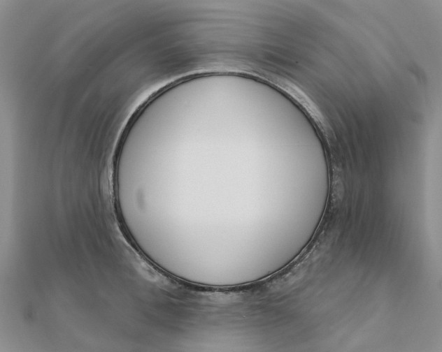 X0000111890996200908131651