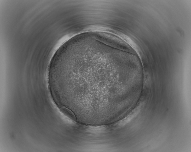 X0000111890997200908131650