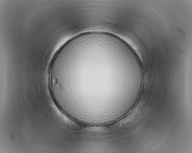 X0000111890998200908131650