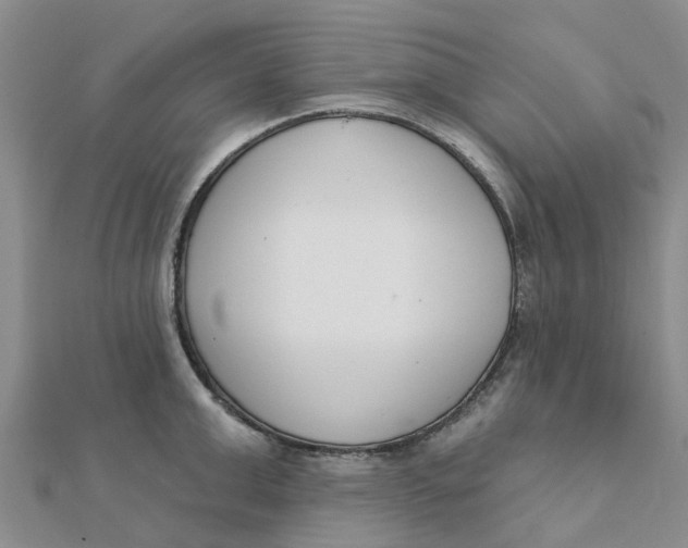 X0000111890999200908131650