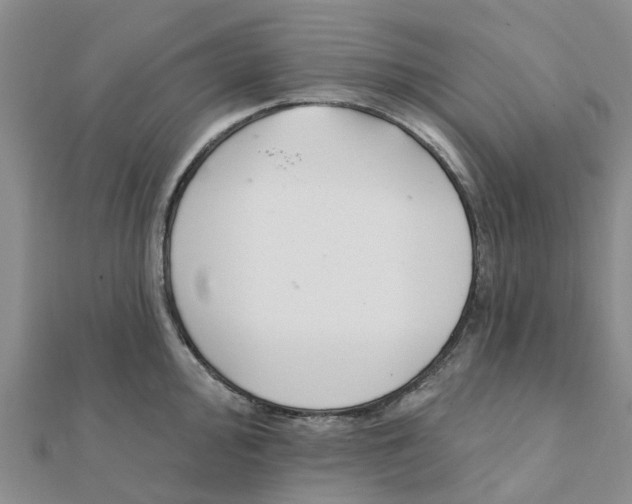 X0000111891000200908131650