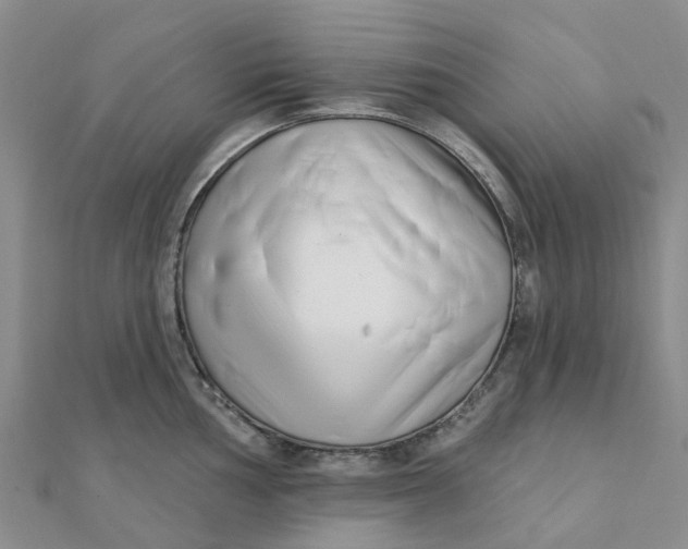 X0000111891002200908131650