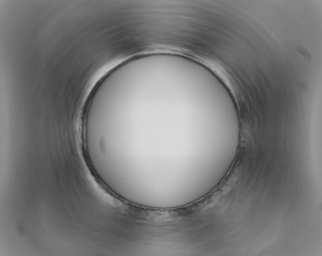 X0000111891003200908131650