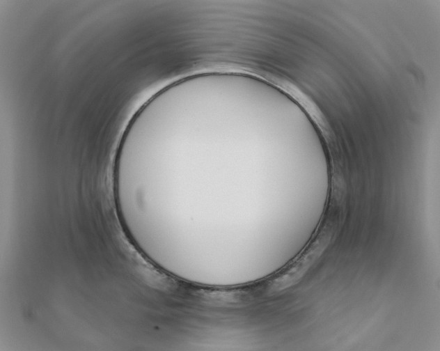 X0000111891004200908131650