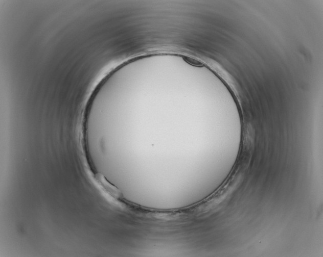 X0000111891005200908131650