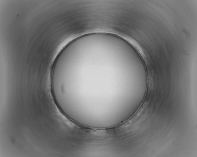 X0000111891006200908131650