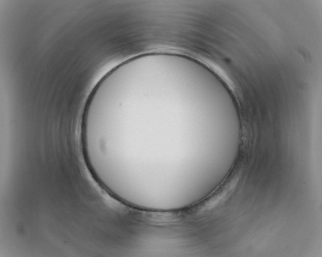 X0000111891007200908131650