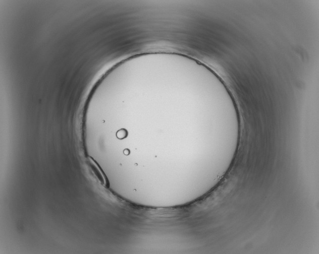 X0000111891008200908131650