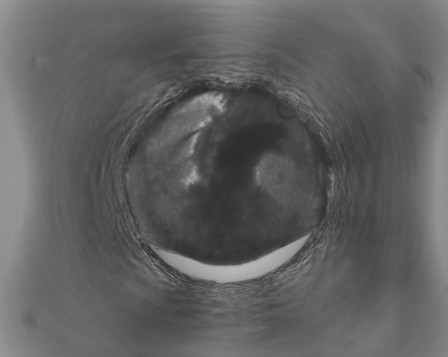 X0000111891009200908131650