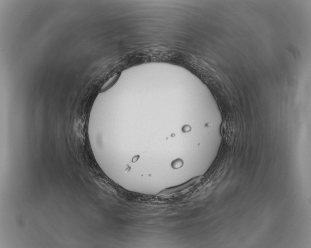 X0000111891010200908131650