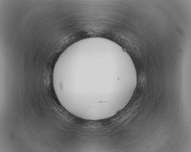 X0000111891012200908131650