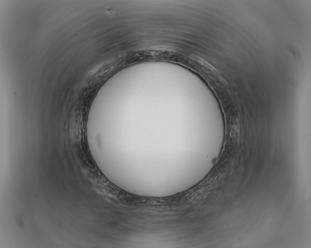 X0000111891014200908131650