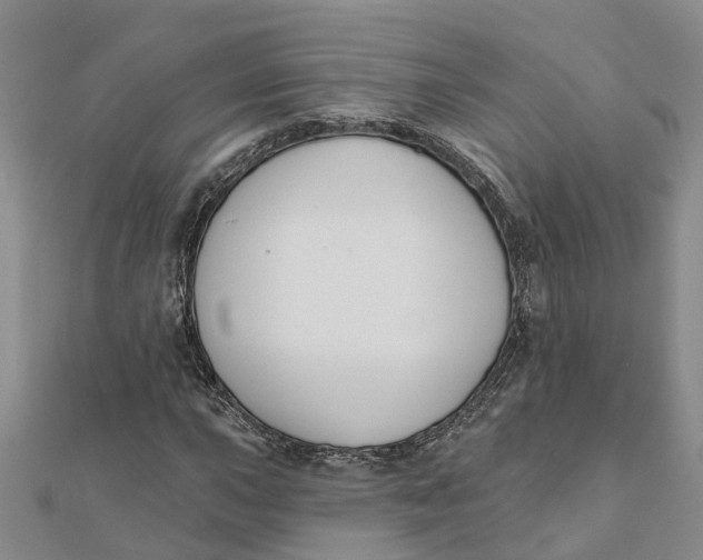 X0000111891015200908131650