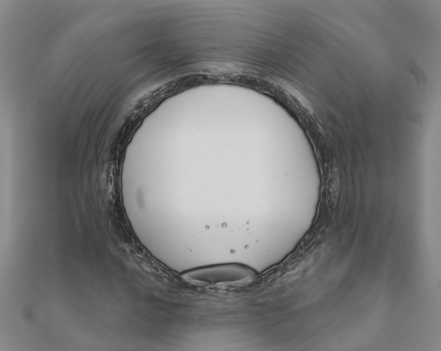 X0000111891016200908131650