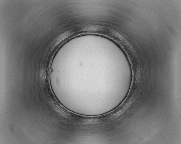 X0000111891017200908131650