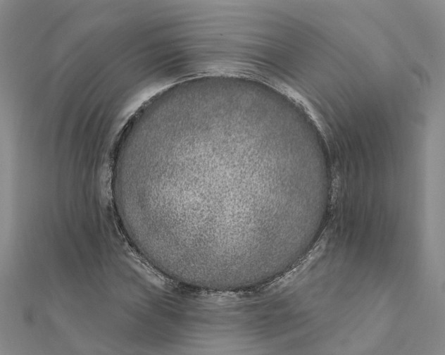 X0000111891019200908131650