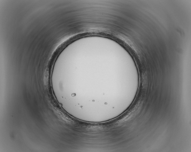 X0000111891021200908131650