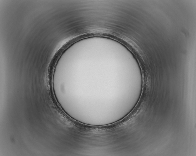 X0000111891022200908131650