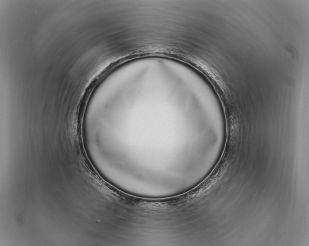 X0000111891023200908131650