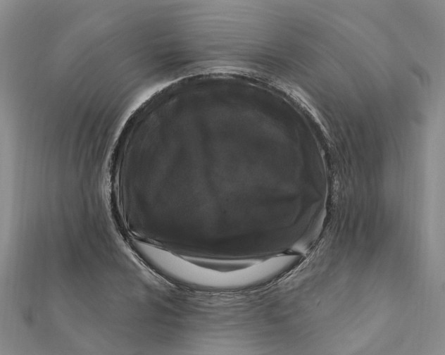 X0000111891024200908131650