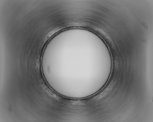 X0000111891025200908131650