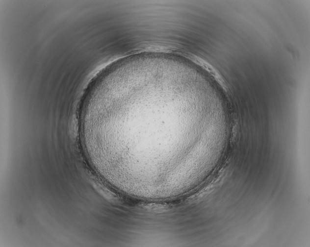 X0000111891027200908131650