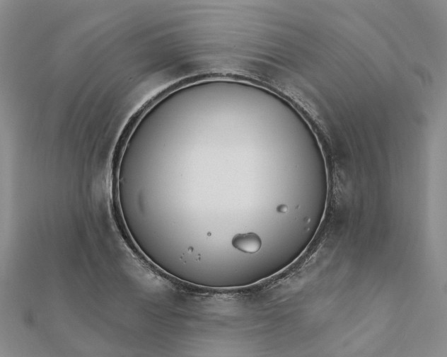 X0000111891028200908131650