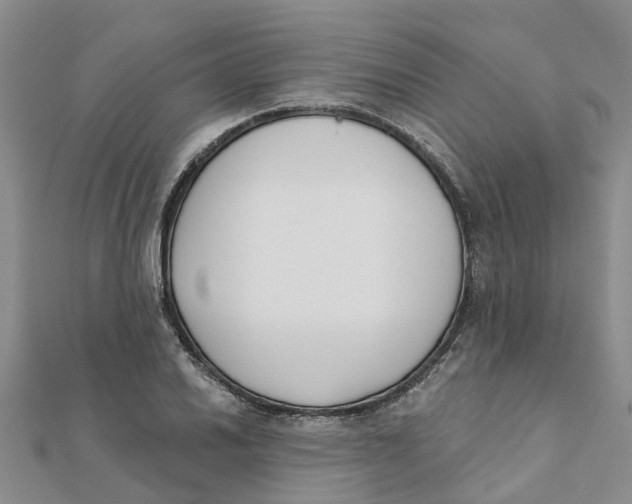 X0000111891030200908131650